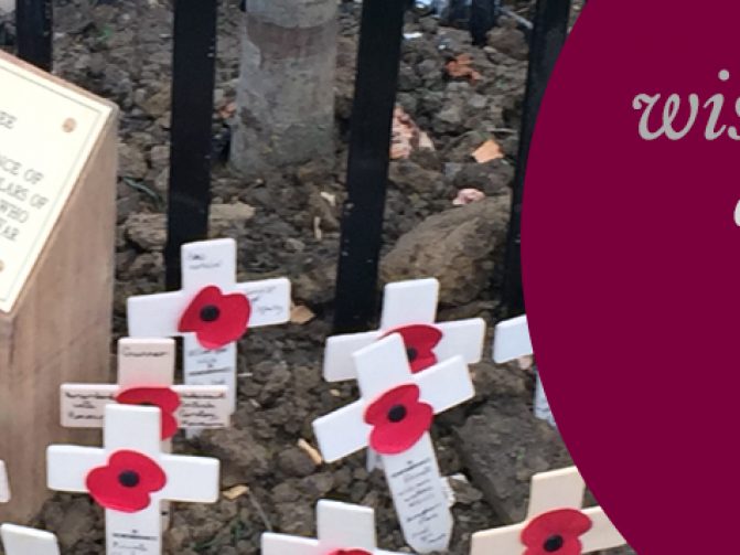 Peace Tree planted in tribute of WW1 soldiers