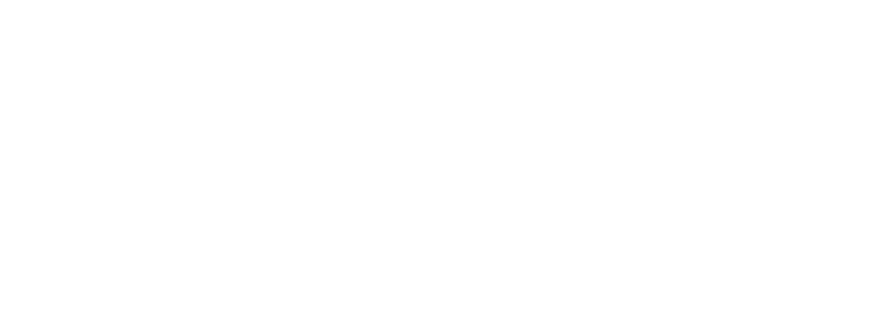 nsb