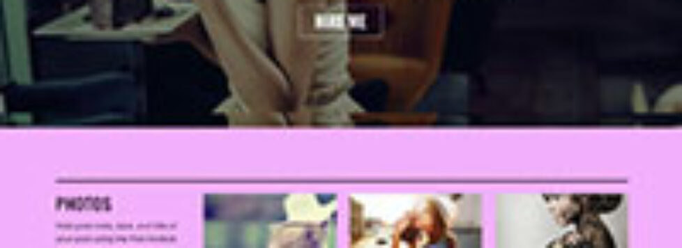 thumb-portfolio