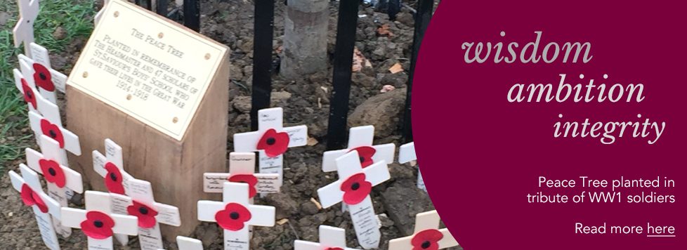 Peace Tree planted in tribute of WW1 soldiers