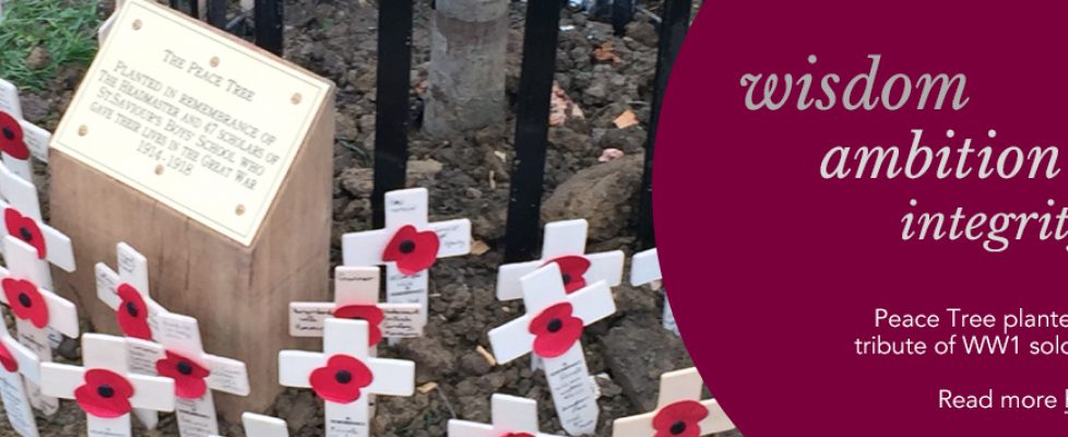 Peace Tree planted in tribute of WW1 soldiers