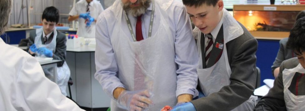 Year 9 Science