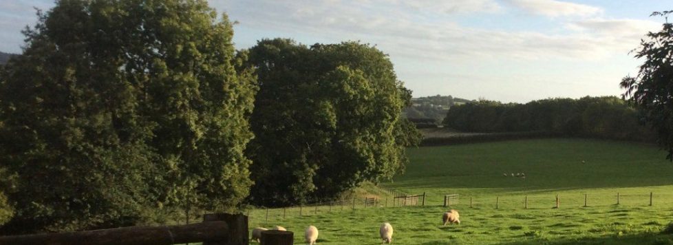 JamieFarm_5