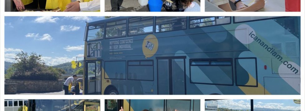 Collage-3