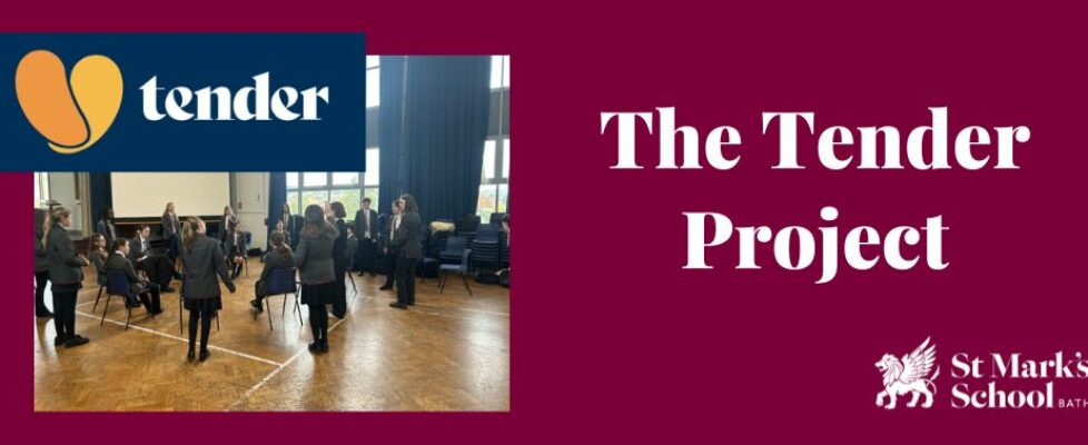 Tender Project Tender Project
