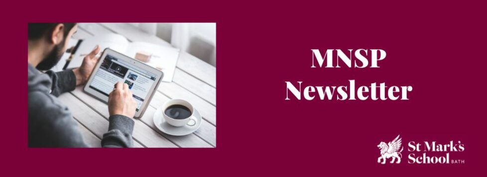 Cover image for MNSP newsletter