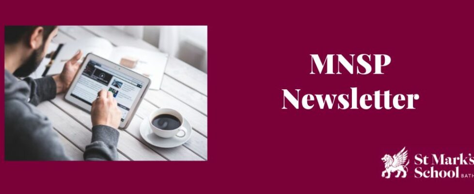 Cover image for MNSP newsletter